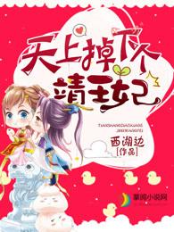 天上掉下个靖王妃